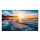 Samsung 65'' QH65R LH65QHREBGCXEN Czarny - 1378798 - zdjęcie 4